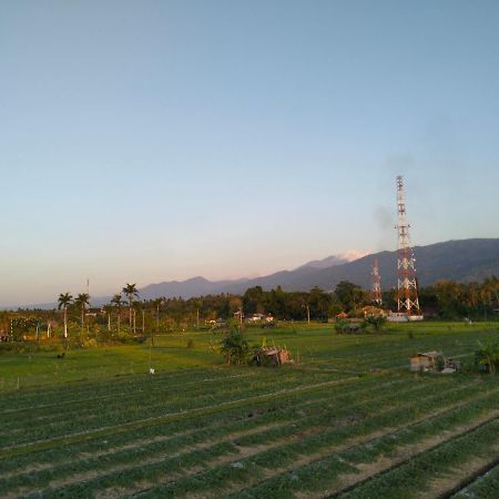 Villa Bintang 러비나 외부 사진